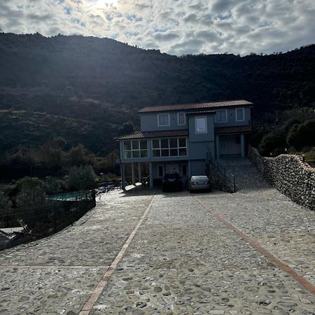 Qyteza Guest House & Camping Shkodër Dış mekan fotoğraf
