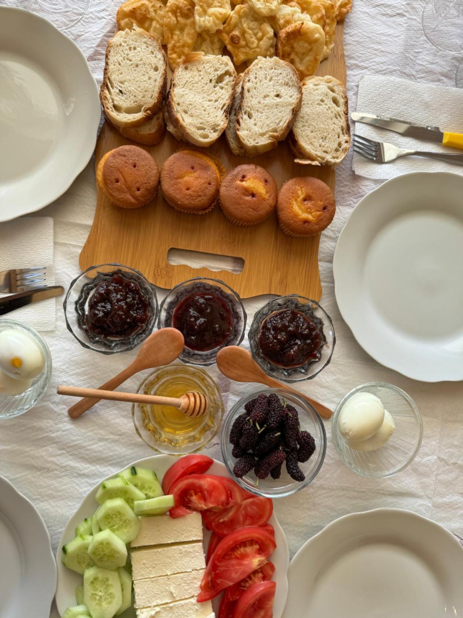 Qyteza Guest House & Camping Shkodër Dış mekan fotoğraf