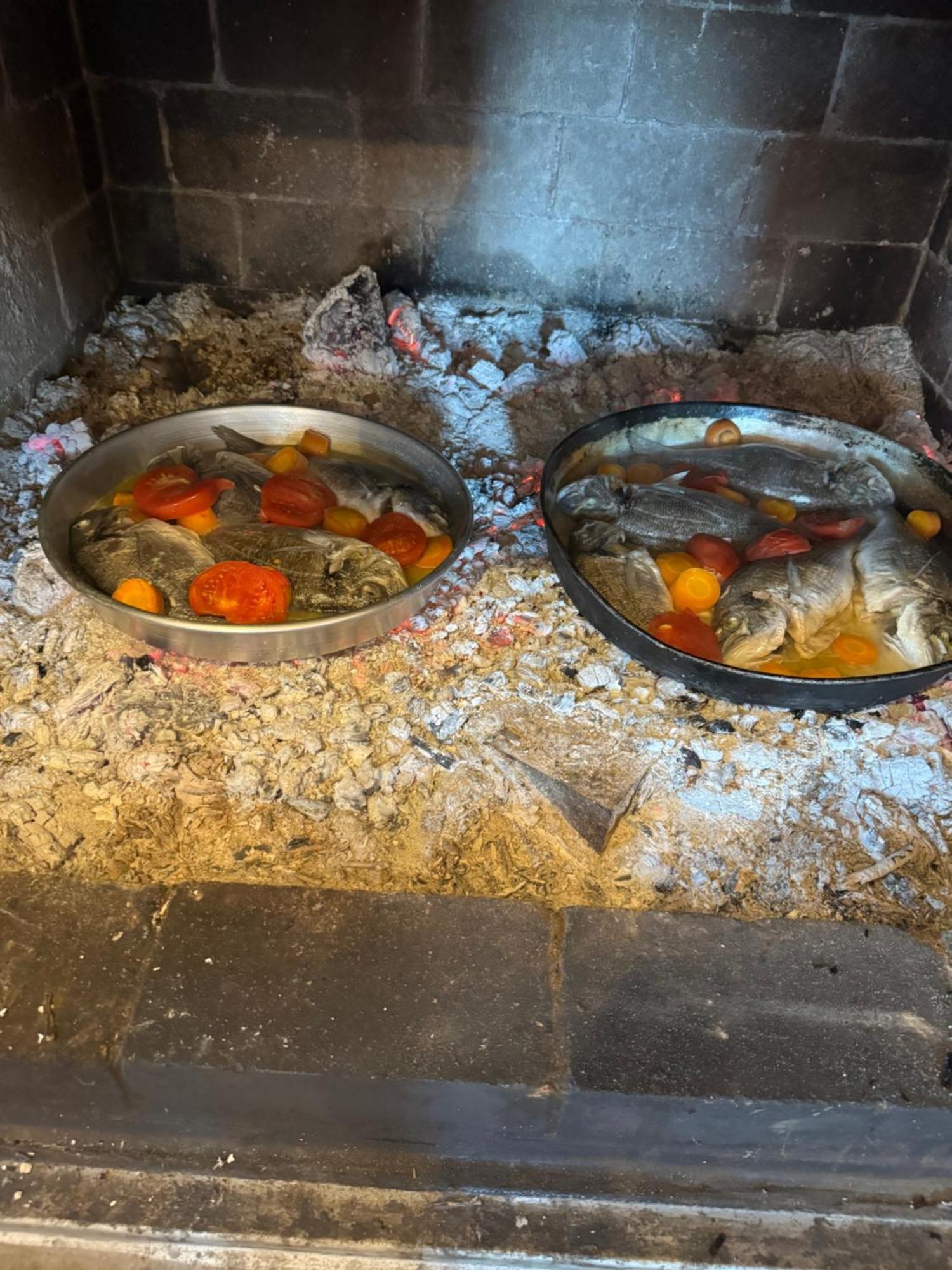Qyteza Guest House & Camping Shkodër Dış mekan fotoğraf
